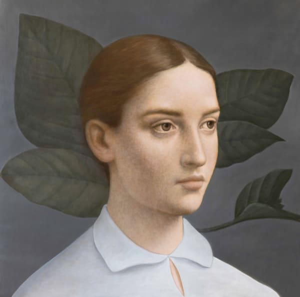 Alberto Gálvez, Cinchona