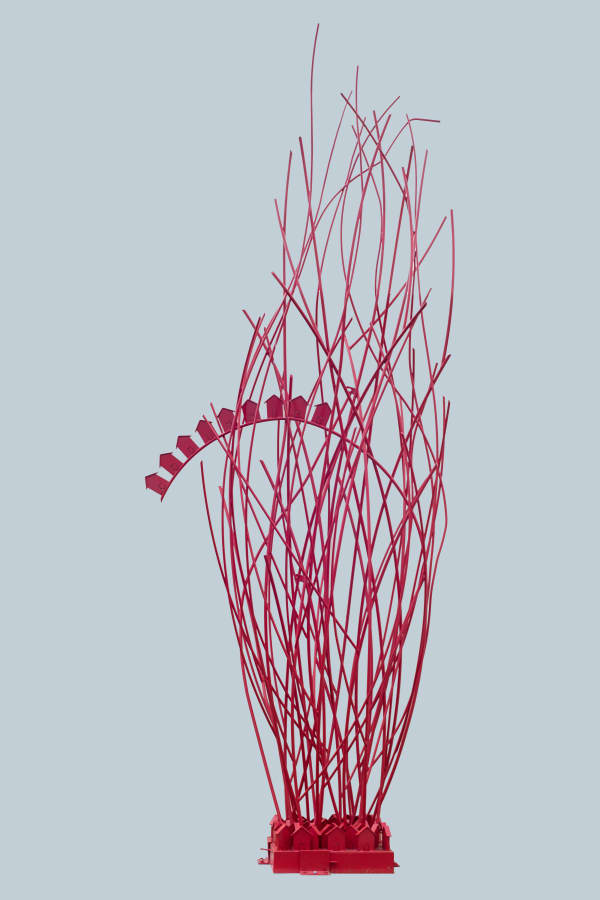 Jorge Leyva, Revering the Phoenix Effect