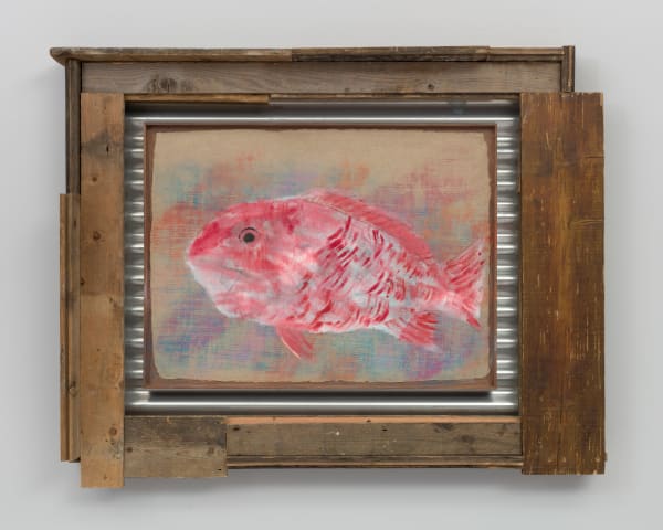 Alvaro Barrington, Red Snapper (SP) study, Oct 2023, 2023