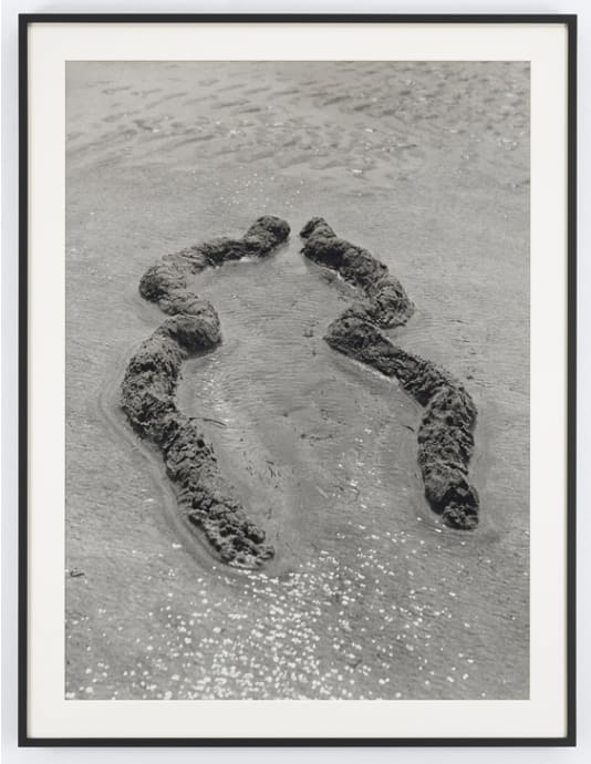 Ana Mendieta, Ochún, 1981 / 2018