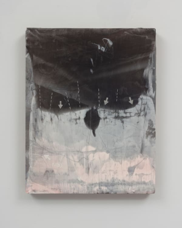 Sean Shim-Boyle, What is your understanding of your condition?, 2024