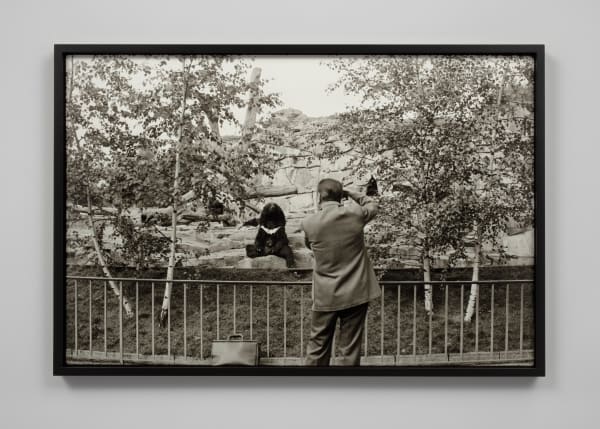 Ming Smith, Posing Bear, 1973