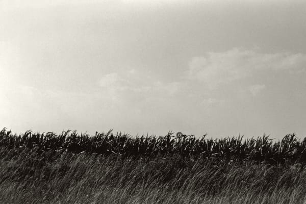 Ming Smith, Cornfields (Columbus, Ohio), 1973