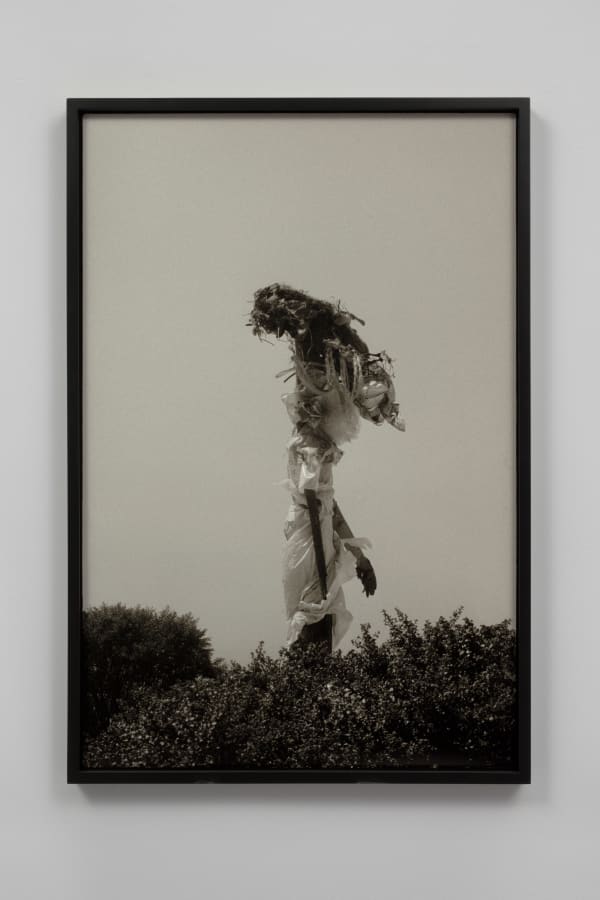 Ming Smith, Balance, 1989