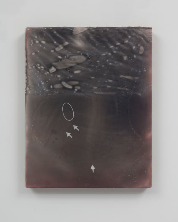 Sean Shim-Boyle, We’re going to name this after you, 2024