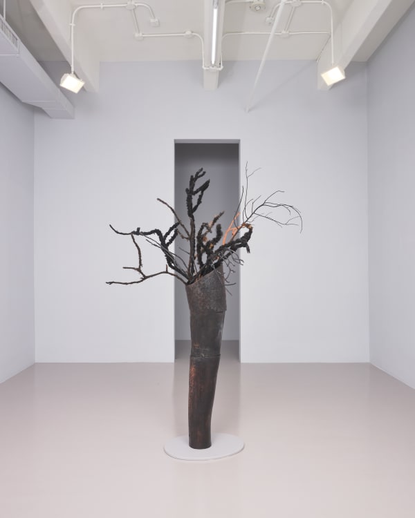 Adebunmi Gbadebo, Witness, 2025