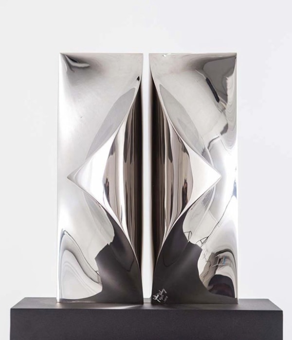 Gustavo Vélez, Insieme II, 2018