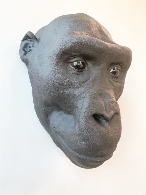 Stefano Bombardieri, Testa Gorilla, 2020