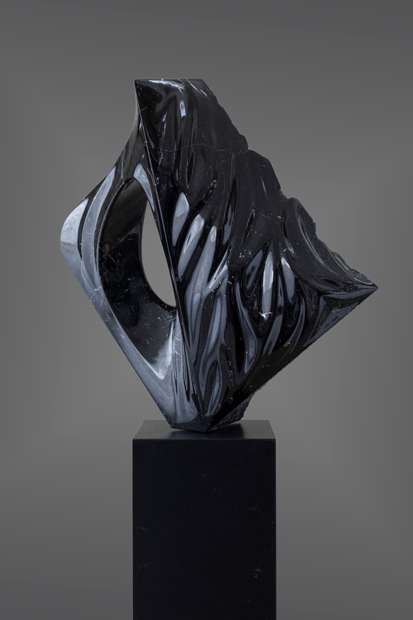 Gustavo Vélez, Bianca II, 2019