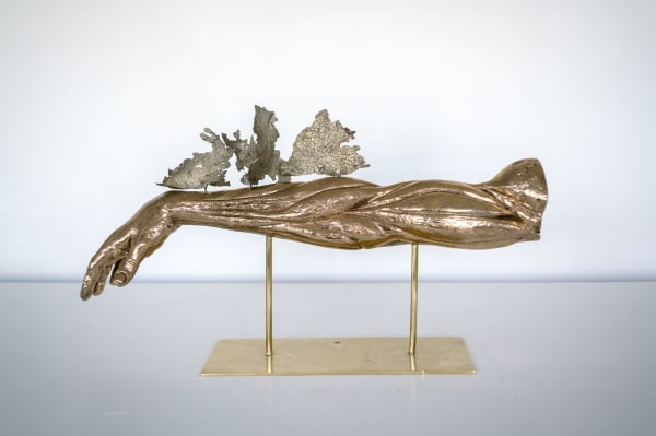 Valentina Lucarini, Ex Voto, 2024