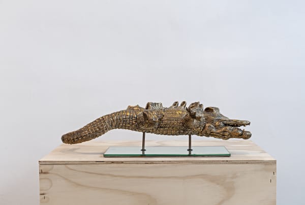 Stefano Bombardieri, Coccodrillo Geneticamente Modificato, 2010