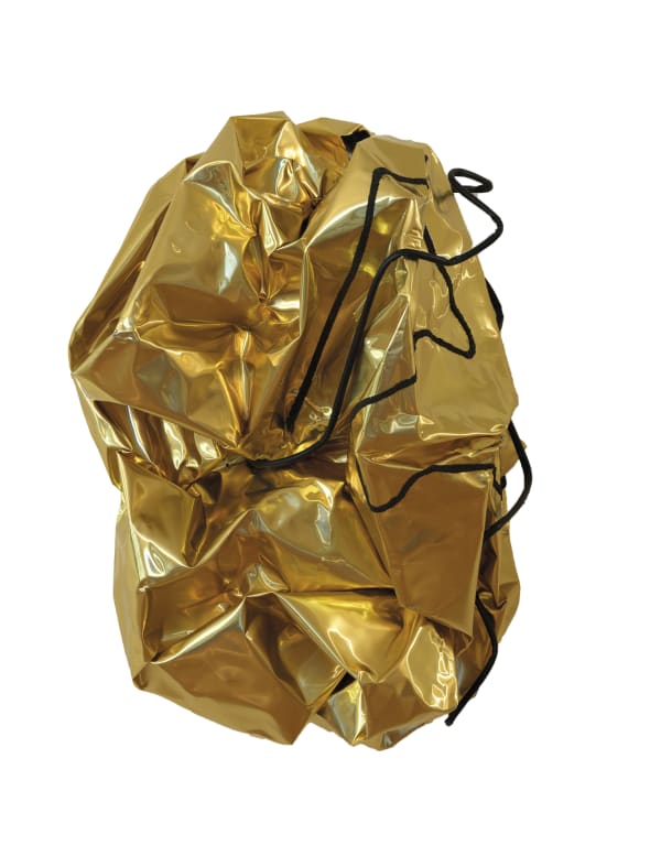 Tiziana Lorenzelli, Lorenzelli Ferrari Pepita Segnica N. 1, 2021