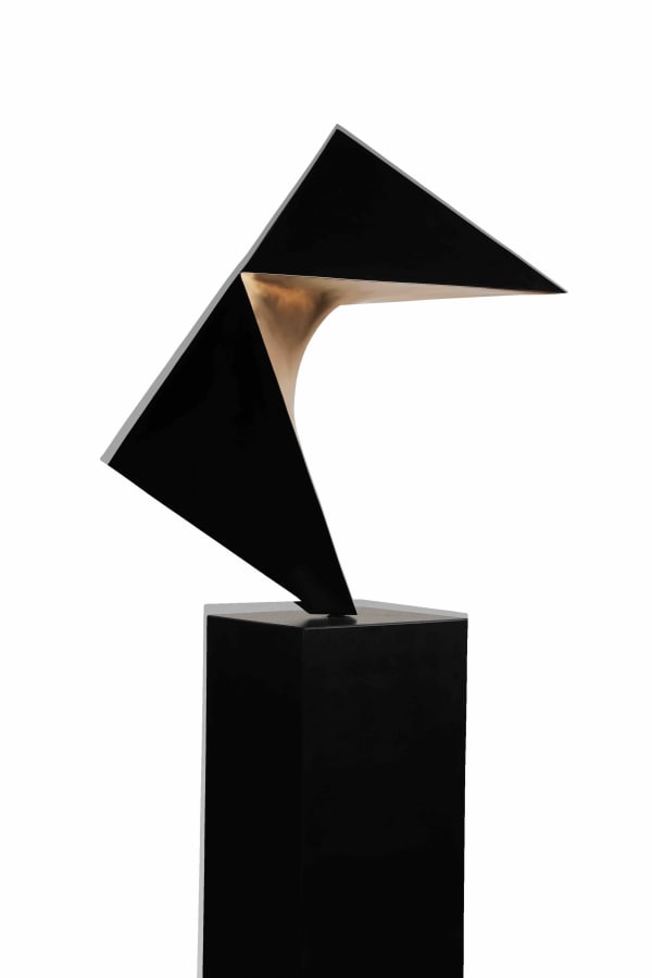 Gustavo Vélez, Sinergia , 2019