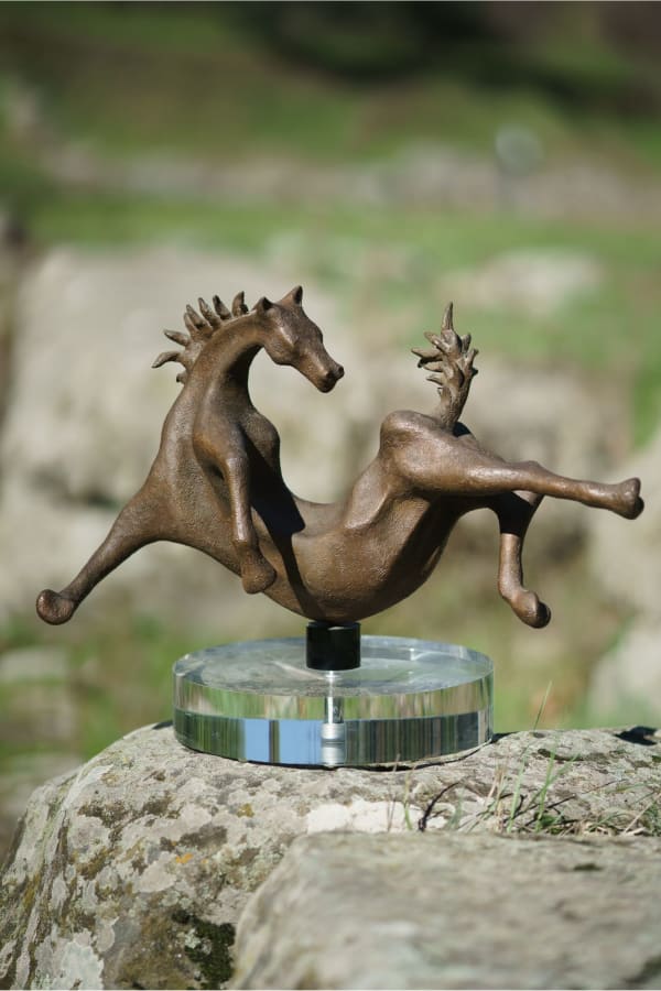 Sauro Cavallini, Cavallo con criniera e coda