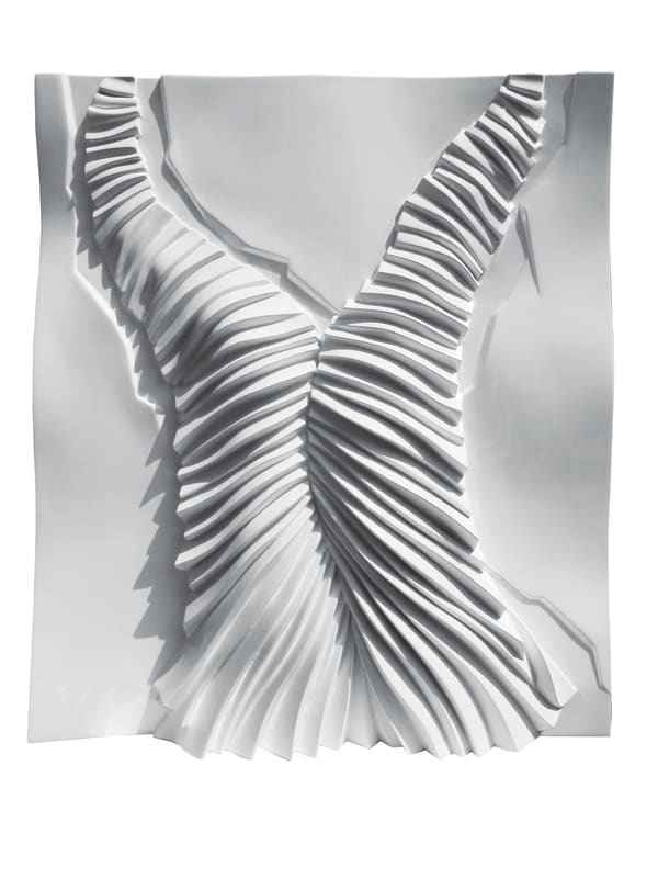 Flavio Lucchini, Dress Memory n.28 - Tribute to Issey Miyake, 2005