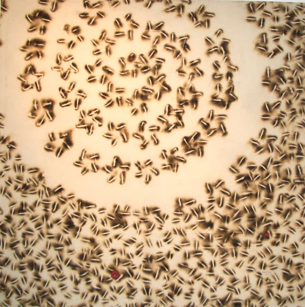 Sandile Zulu, Galaxy 5, 2005