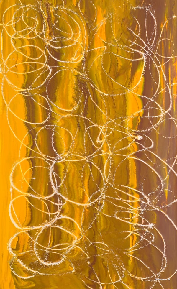 Samantha Hobson, Muddy tracks , 2008