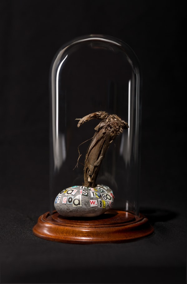 Sylvie Franquet, Goat spirit, 2016