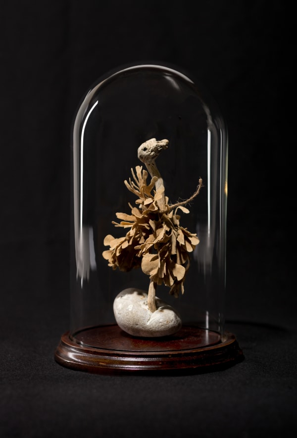 Sylvie Franquet, Baby Ostrich, 2016