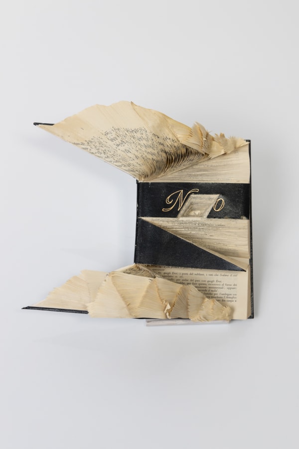 Jukhee Kwon, Sì o No (Yes or No), 2020