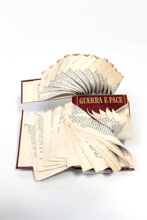 Jukhee Kwon, Guerra e pace (War and Peace), 2020