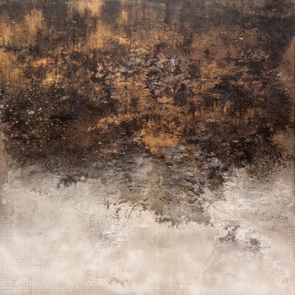 Govinda Sah 'Azad', Metamorphosis, 2013