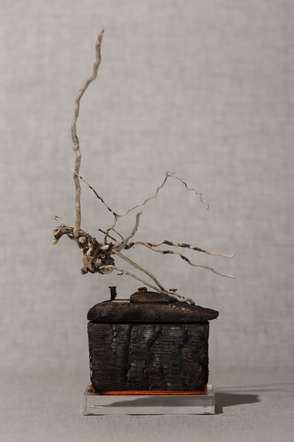 Sylvie Franquet, Phoenix, 2016