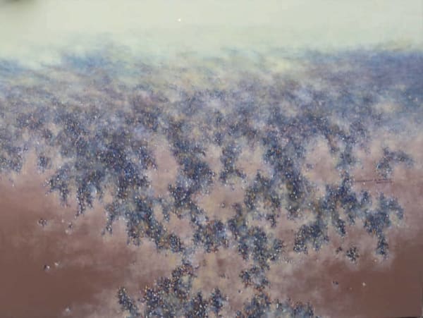 Moses Oghagbon, Mystery (Argungu), 2023