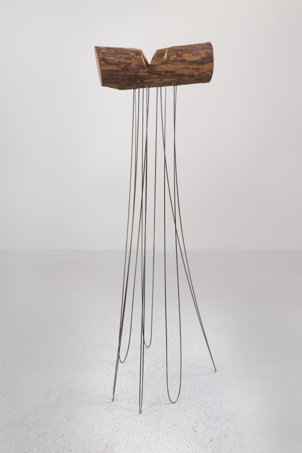 Starcrossed, 2016 Oriental plane and mild steel 49 1/4 x 19 3/4 x 21 1/4 in 125 x 50 x 54 cm