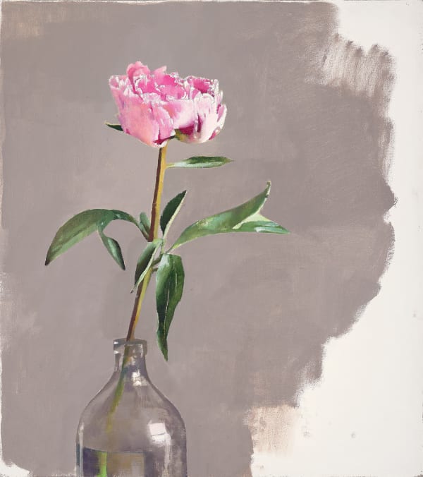 Diarmuid Kelley, Peony, 2015