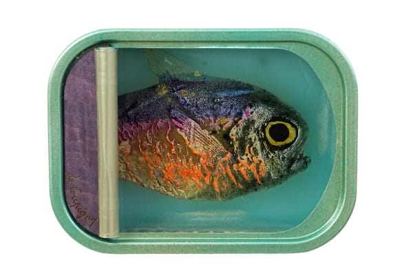 Ortaire de Coupigny, Catch of the Day, 2023