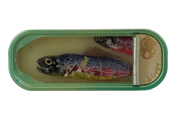 Ortaire de Coupigny, Catch of the Day, 2023