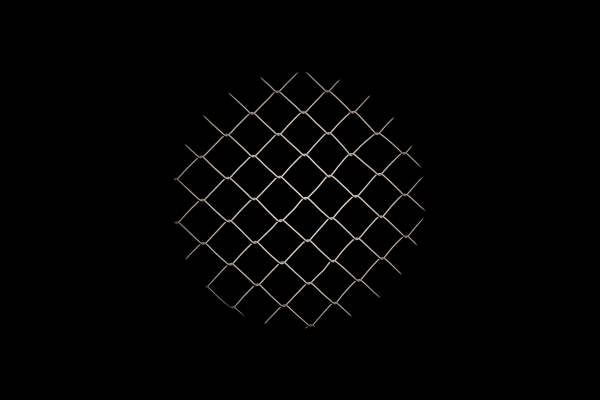 Caroline Christie-Coxon, Phenomenology 1, 2024