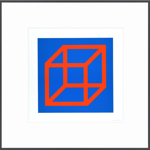 Open Cube in Color on Color Plate 20