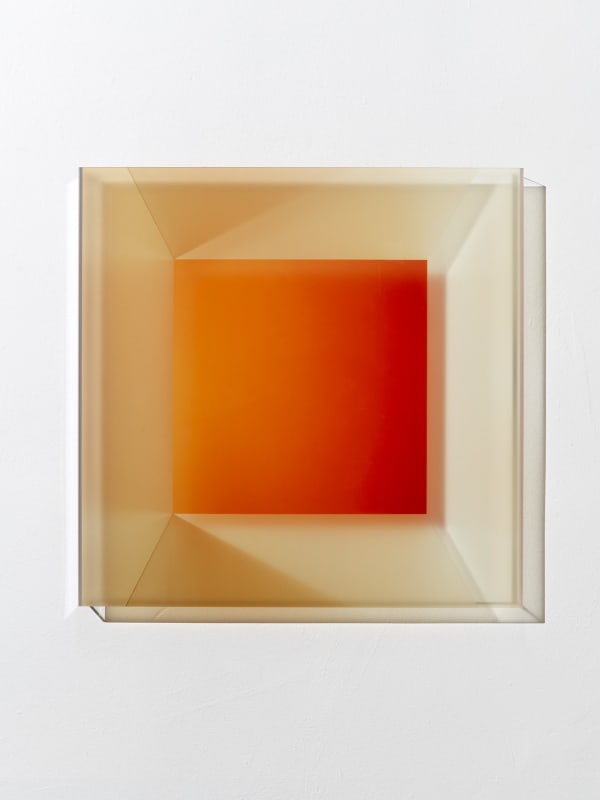 Projection Reflection Untitled (74529)