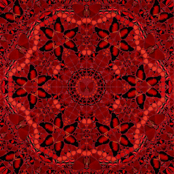 Wu Zetian (The Empresses 1)