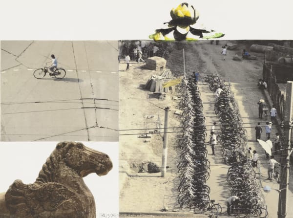 Lotus VI (the Lotus Series)