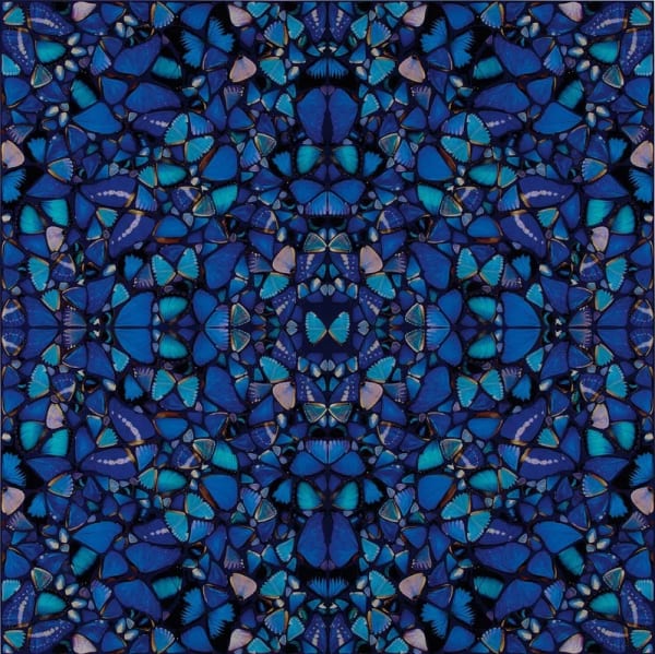 Grace - H6-2 (The Aspects)