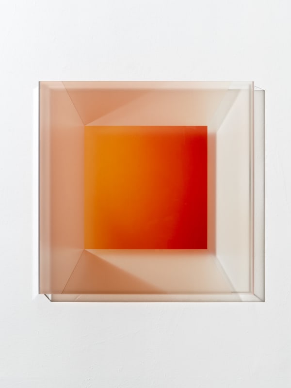 Projection Reflection Untitled (74535)