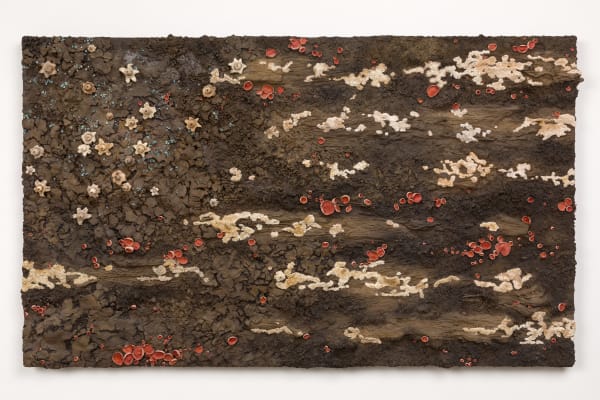 Fungal Flag no. 2