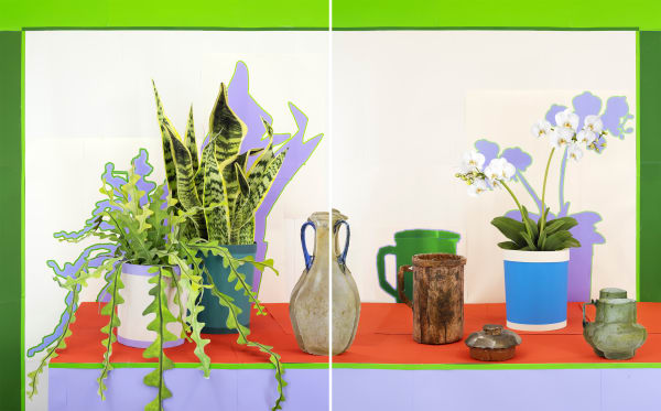 Succulents and White Orchid