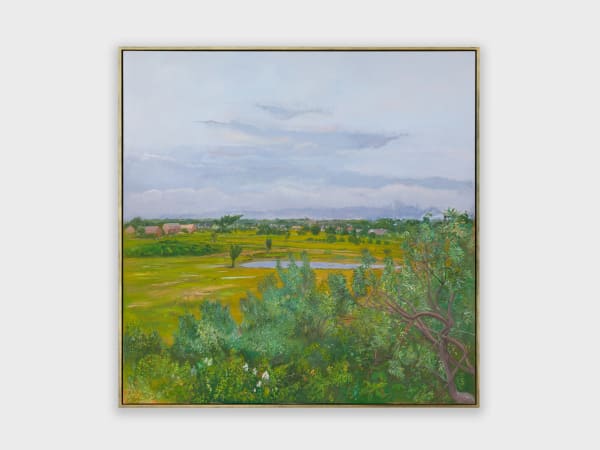 Thicket and Field