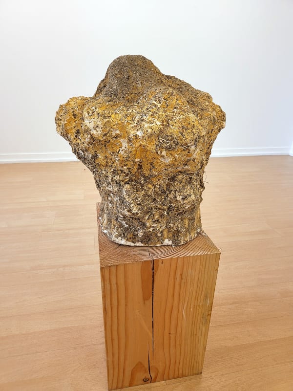 Nikolas FOURÉ, Terrestre, 2022