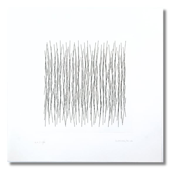 Vera MOLNAR, De lignes en lignes, 2002