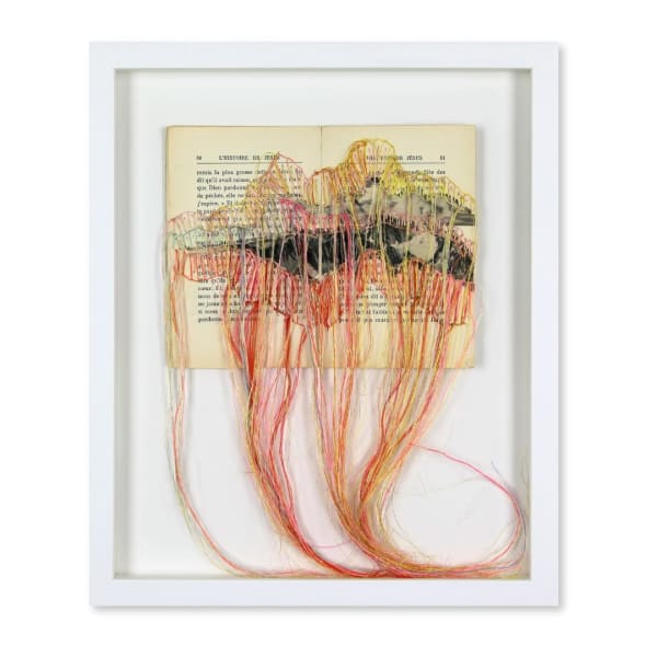 Brankica Žilović, Devins paysages, 2024