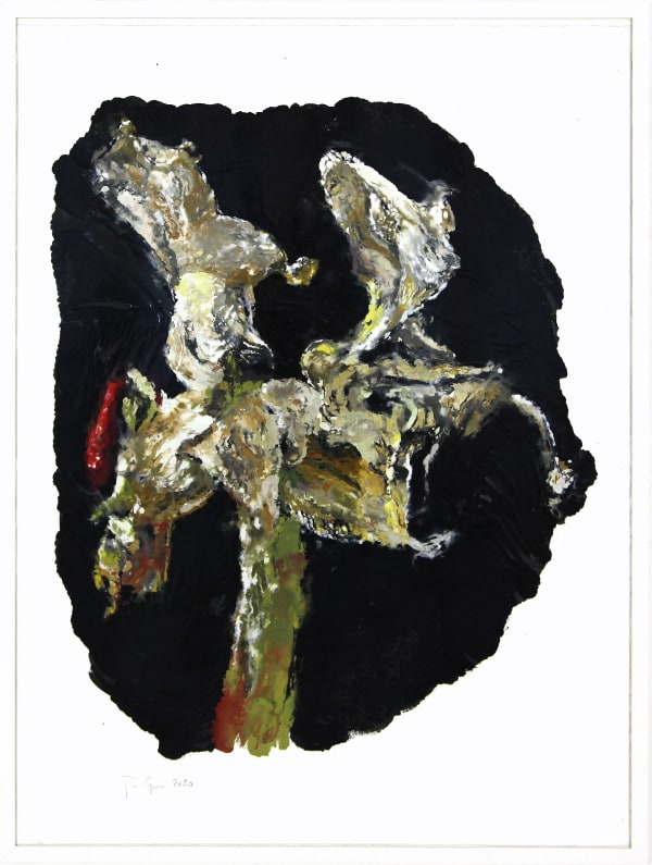 Philippe COGNÉE, Amaryllis (A20), 2020