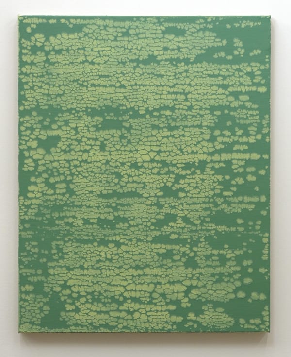 Pierre GALOPIN, Zarbi, 2019