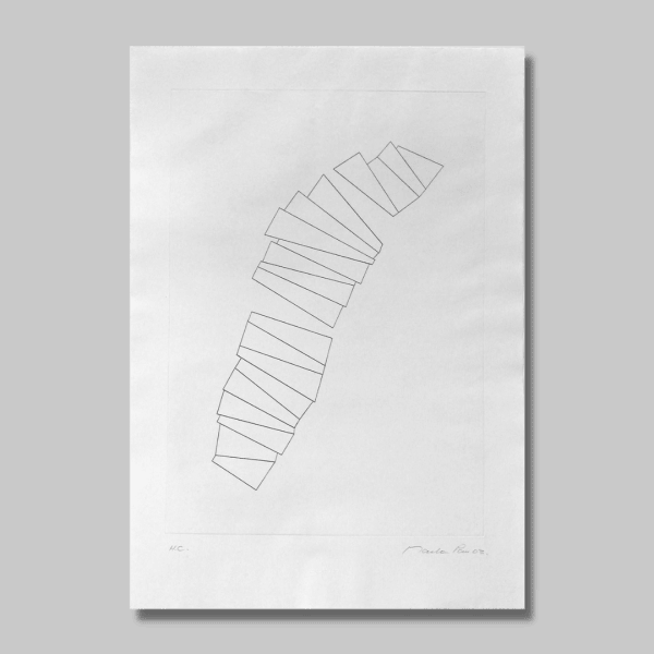 Marta PAN, Fragment de paysage 1, 2003