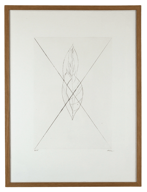 Geneviève ASSE, Sans titre (feuille) II, 2013