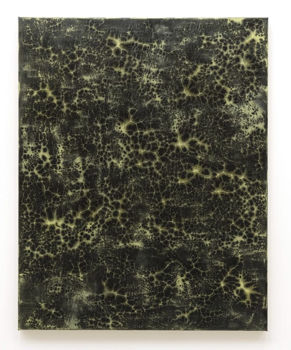 Pierre GALOPIN, Salade, 2019